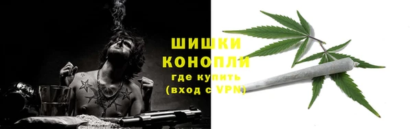 ALPHA PVP Горнозаводск