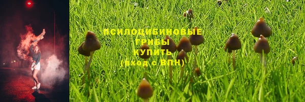 ALPHA PVP Горнозаводск