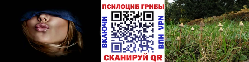 Галлюциногенные грибы Psilocybine cubensis  Купить где  Югорск 